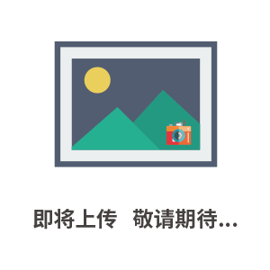 LAIRD導(dǎo)電劑